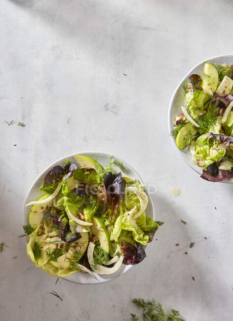 Primo piano di deliziosa insalata di finocchio con Apple — Foto stock