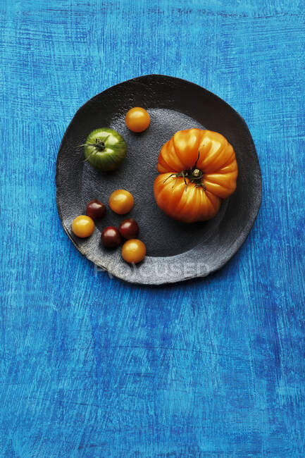 Vários tipos de tomates em uma chapa contra um fundo azul — Fotografia de Stock