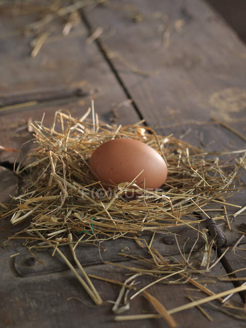 Close-up shot of raw egg on straw — Stock Photo