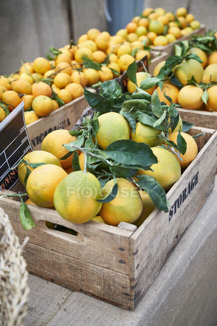 Naranjas ecológicas en el mercado campesino - foto de stock
