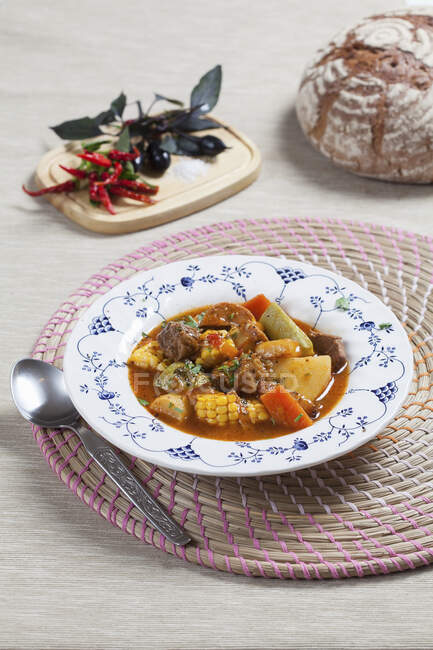 Beef stew with vegetables and corn cobs - foto de stock