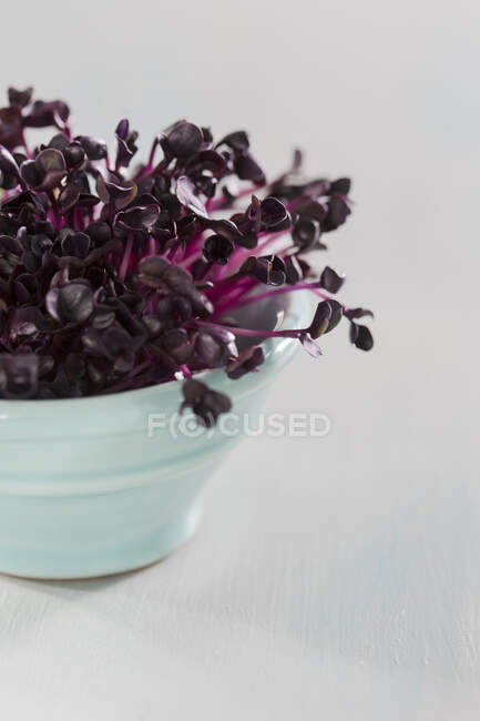Haricots violets et blancs sur un fond en bois — Photo de stock