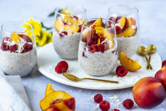 Coconut milk chia pudding with nectarines and raspberries — Stock Photo
