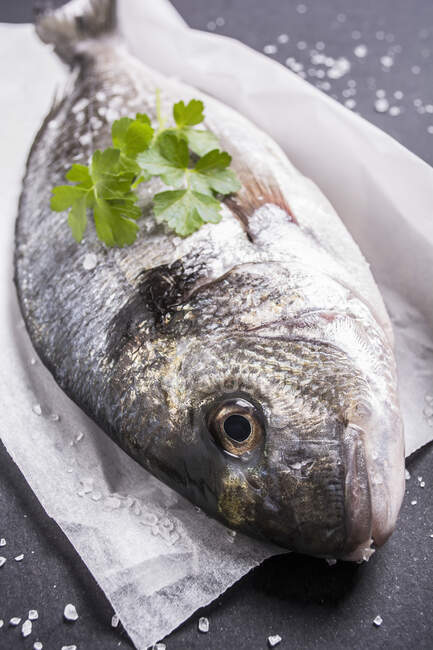 Риба з травами та морською сіллю на папері для випічки — стокове фото