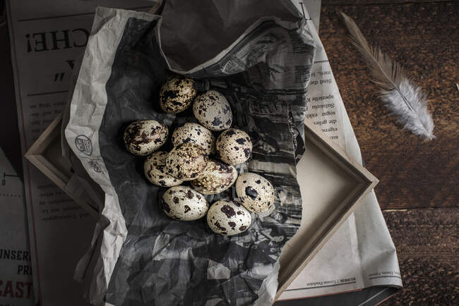 Newspaper pages with Quail eggs, frame and feather — Stock Photo