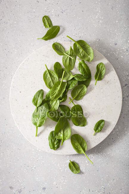 Piccole foglie di spinaci su vassoio rotondo di pietra su superficie di pietra — Foto stock