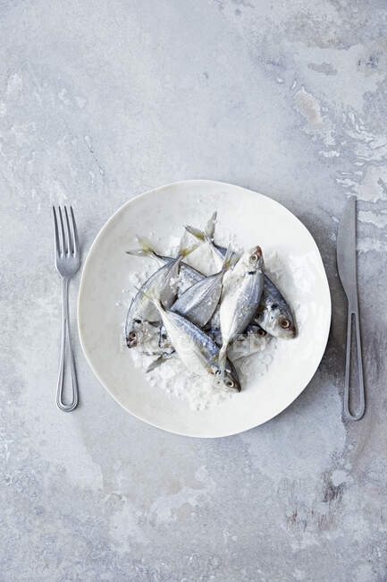 Fresh bream with salt on plate with fork and knife — Stock Photo