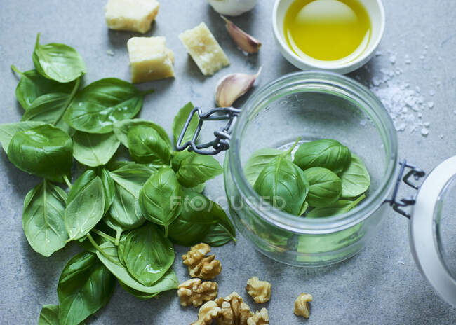 A glass jar with basil and ingredients for pesto — Stock Photo