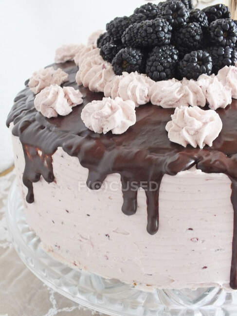 Cream cake with blackberries, closeup — Stock Photo