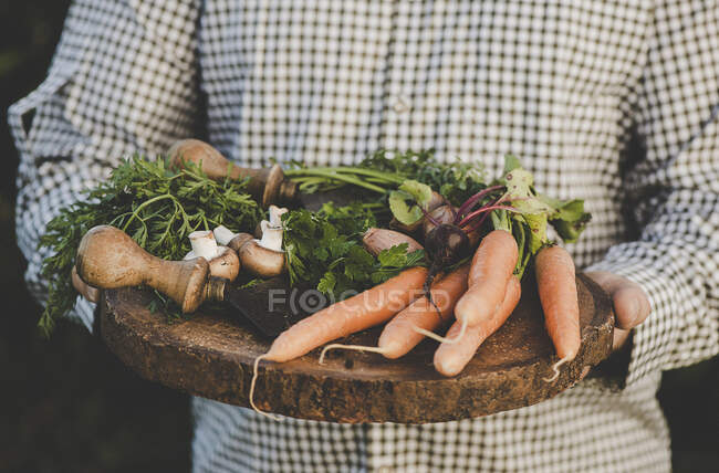 Um homem segurando um plater de madeira de legumes recém-colhidos — Fotografia de Stock