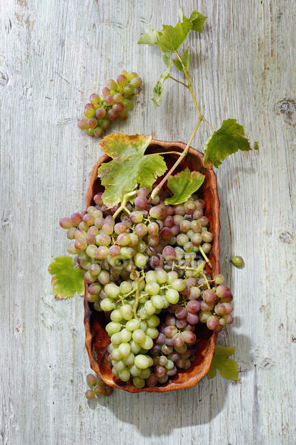 Close-up shot of delicious Grapes in a wooden dish — Stock Photo