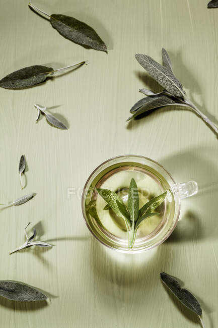Chá de salva em uma xícara de vidro — Fotografia de Stock