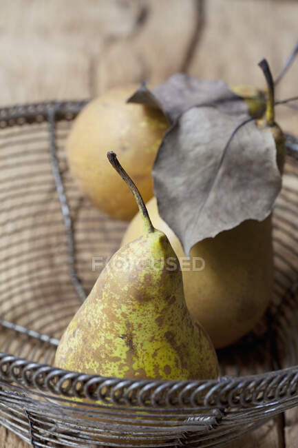 Peras con hojas secas en un tazón de alambre - foto de stock