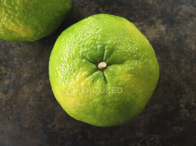 Uma fruta ugli em uma superfície escura — Fotografia de Stock
