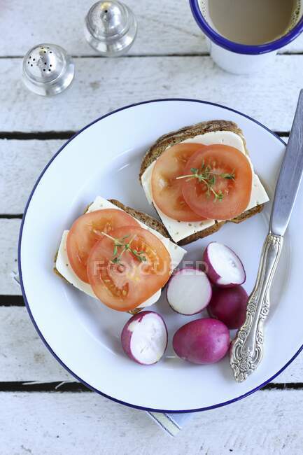 Простий сніданок-сендвіч з сиром, помідорами та редькою — стокове фото