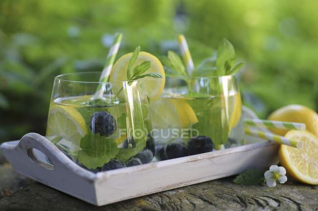 Wasser mit Zitrone, Blaubeeren und Minze im Freien — Stockfoto
