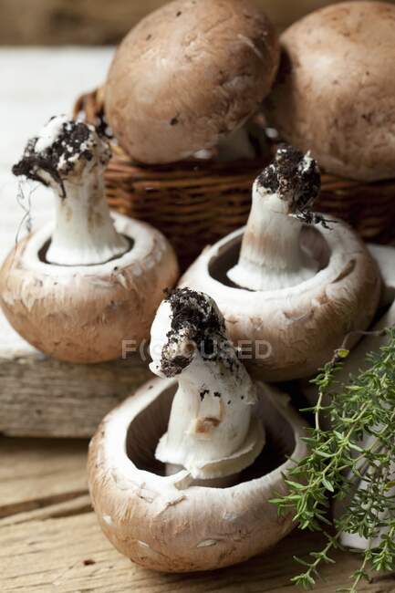 Cogumelos castanhos e tomilho — Fotografia de Stock