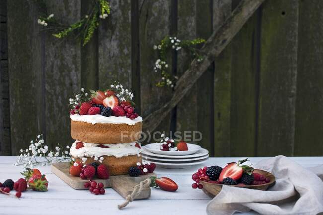 Торт із збитими вершками та ягодами. — стокове фото