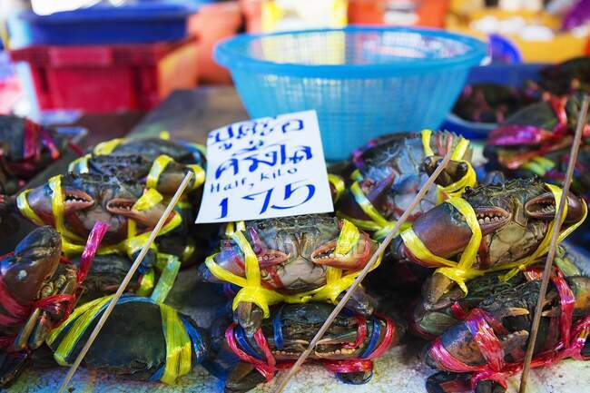 Cangrejos atados con una etiqueta de precio en un mercado de pescado, Tailandia - foto de stock