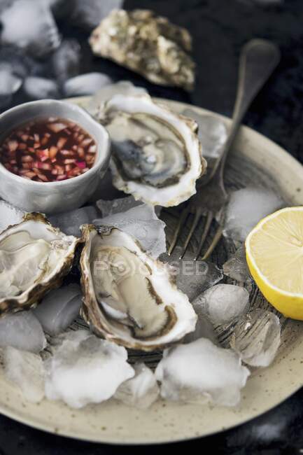 Oyster Plate With Mignonette Sauce — Stock Photo