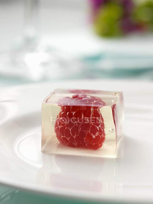 Champagne jelly close-up view — Stock Photo