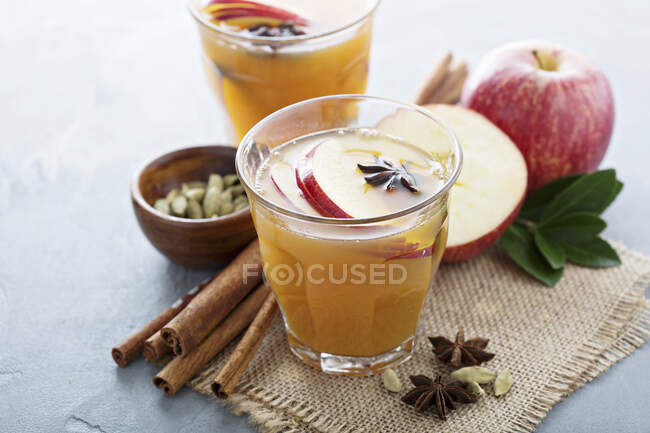 Warm apple cider with star anise and cardamom — Stock Photo
