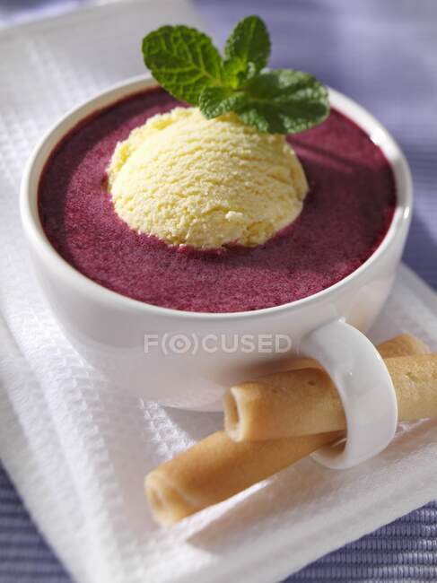 A bowl of Scandinavian berry soup — Stock Photo