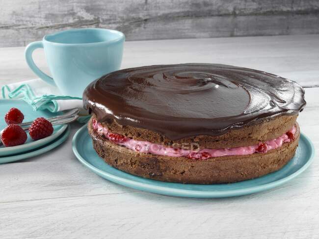 Gâteau au chocolat et framboise vue rapprochée — Photo de stock