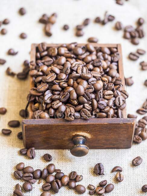 Coffee beans in little drawer of an old coffee grinder — Stock Photo
