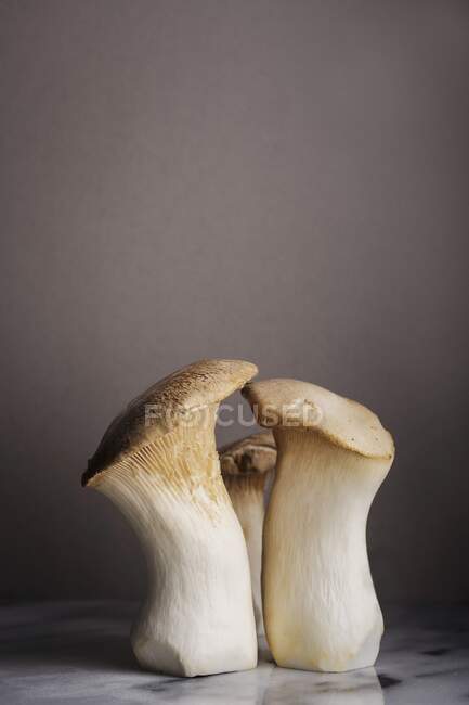 Close up of three king oyster mushrooms — Stock Photo