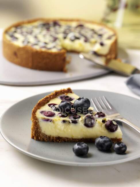 A slice of blueberry lemon pie on a plate with a whole pie in the background — Stock Photo
