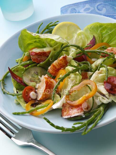 Salada de lagosta alimentos editoriais — Fotografia de Stock