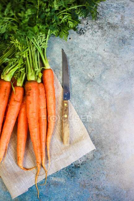 Свежая морковь с ножом — стоковое фото