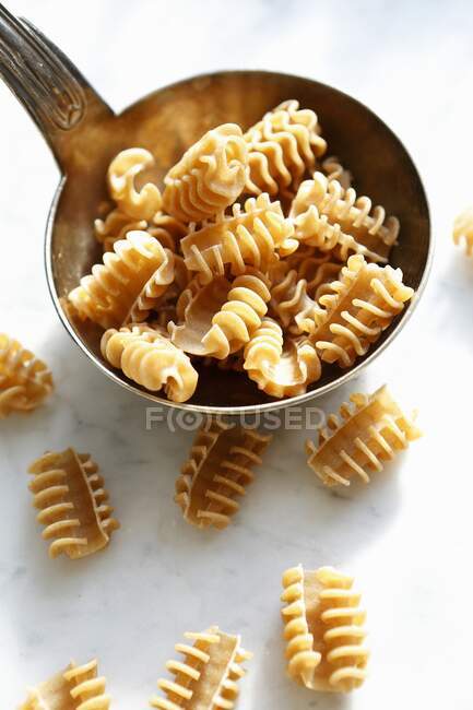 Uncooked armoniche pasta in a ladle — Stock Photo