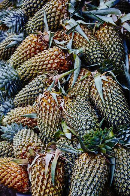 Ananas auf einem Markt (Sri Lanka)) — Stockfoto