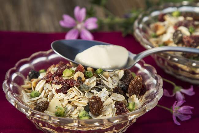 Muesli with yoghurt and mallow flowers — Stock Photo