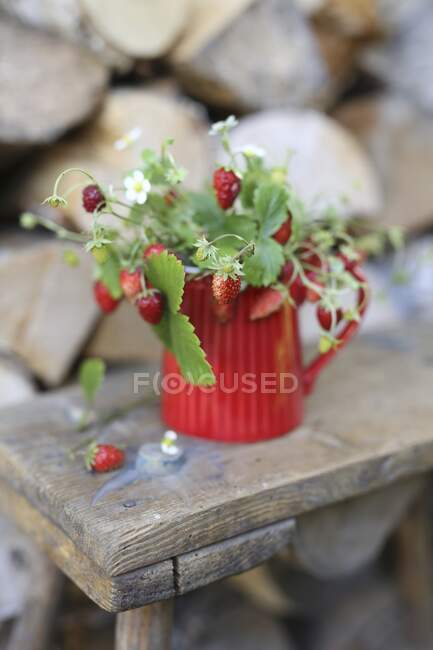 Ramitas fresas en una jarra roja sobre un taburete de madera - foto de stock