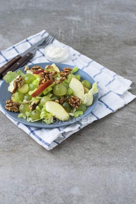 Salade Waldorf aux raisins, pommes et noix — Photo de stock