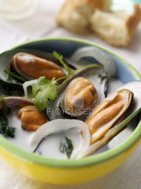 Coconut mussel stew close-up view — Stock Photo