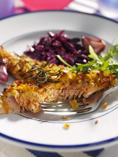 Rainbow trout and red cabbage editorial food — Stock Photo