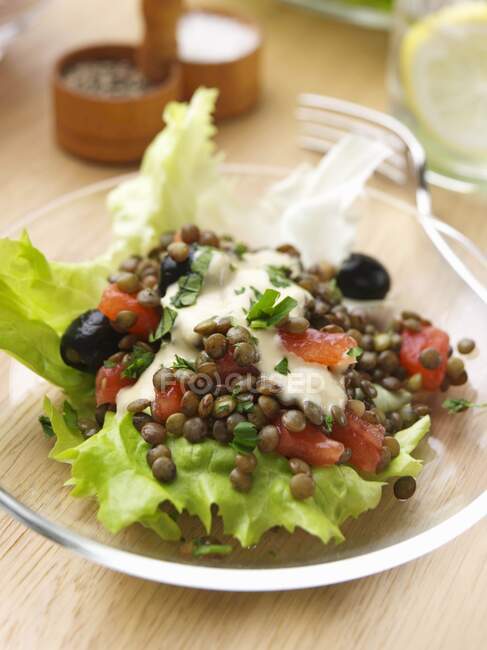 Une assiette de salade de lentilles — Photo de stock