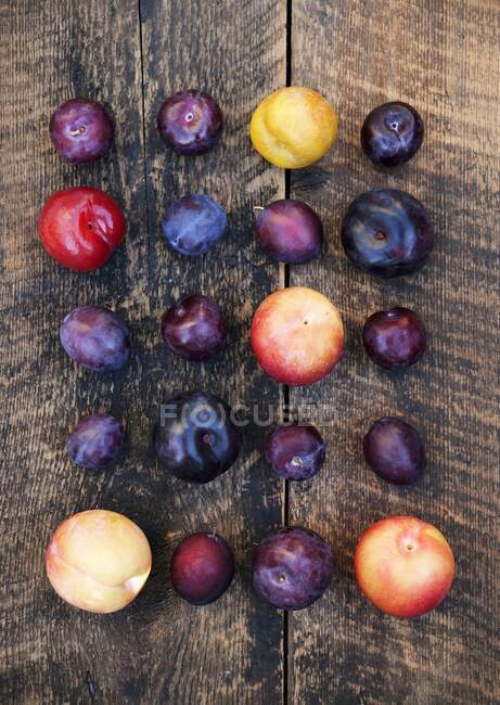 Assorted plums in rows on wooden surface, top view — Stock Photo