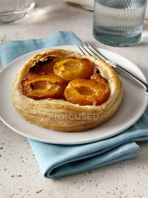 Apricot galette on a plate — Stock Photo