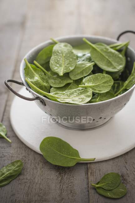 Fresh spinach leaves in colander — Stock Photo