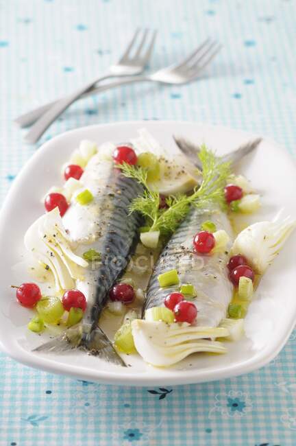 Mackerel with fennel and redcurrants — Stock Photo