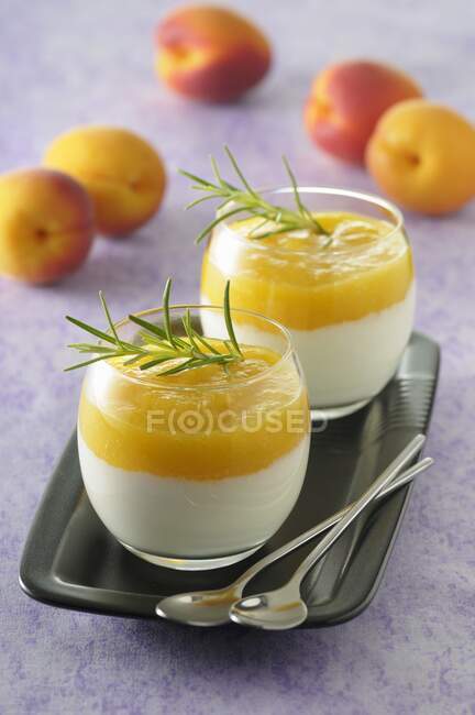 Panna cotta with apricot pure and rosemary — Stock Photo
