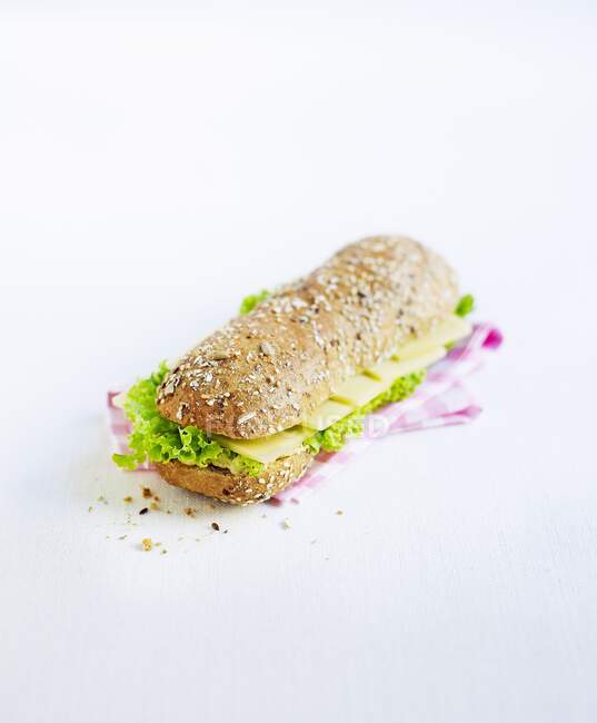 Cheese sandwich with lettuce — Stock Photo
