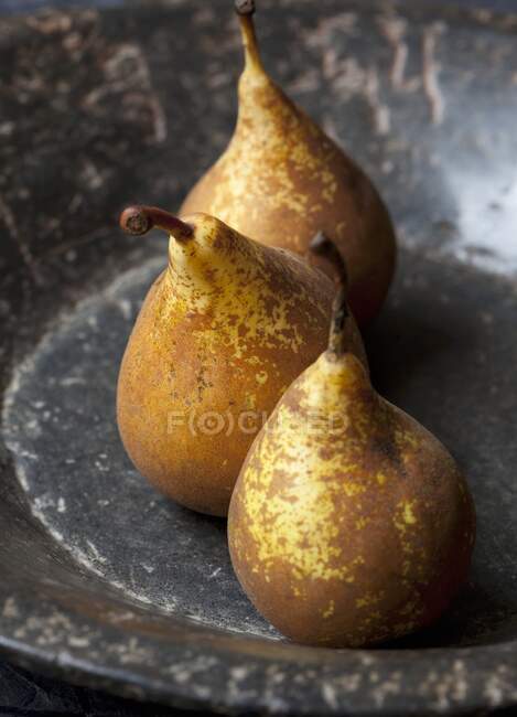 Three organic conference pears in a stone bowl — Stock Photo