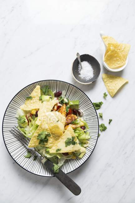 Salada de taco com feijão, frango e nachos — Fotografia de Stock