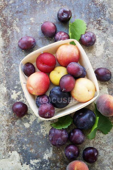 Une variété de prunes différentes, certaines dans un filet de bois sur fond de détresse — Photo de stock